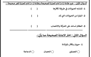 اختبار تجريبي علوم قصير 3 الصف الثاني  الفصل الاول