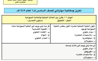 اختبار بعدي لمهاراتي سادس الفصل الأول لعام ١٤٤٥