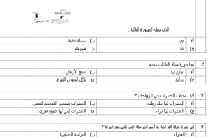 اسئلة الاختبارالتشخيصي الصف الثاني نموذج 1 مادة العلوم