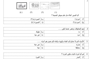 الاختبار التشخيصي الصف الأول نموذج b فصل ثاني