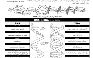 ورقة عمل الفرق بين الـ DNA و RNA مقرر أحياء 3   ثالث ثانوي فصل ثاني ف2 أ. فيصل الجمعان