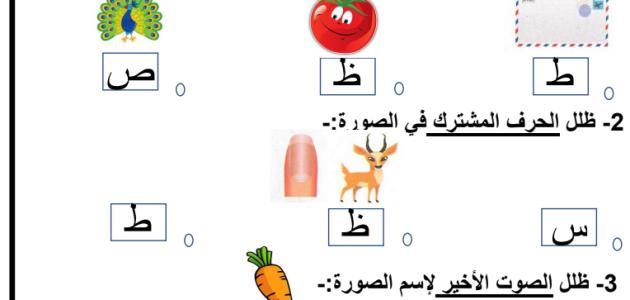 ورقة عمل حرف ظ صف اول