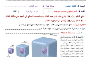 ورقة عمل التكاثر الخلوي احياء الصف ثاني عشر فصل ثاني 2023