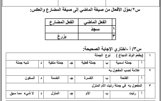 ورقة عمل الوظيفة النحوية مناسبات ورحلات 2 الصف/ الرابع