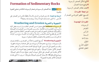حل درس تشكل الصخور الرسوبية صف ثالث  ثانوي  فصل ثاني