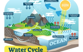 دورة المياه في الطبيعة وأهميتها