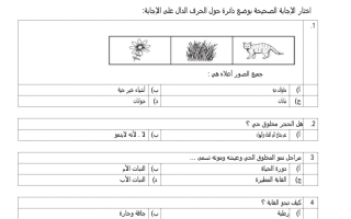 اسئلة الاختبار التشخيصي الصف الأول نموذج 1 مادة العلوم