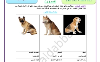 مذكرة وحدة علم الوراثة التطبيقي الصف الثاني عشر عام