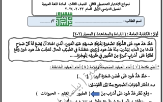 نموذج 2 الاختبار التحصيلي لغة عربية الثاني الصف لثالث أ سميرة بيلسان نموذج