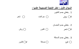 اجابة ورقة عمل للصف الثاني قصير 2 للصف الثاني نهاية الفصل الاول