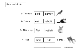 تمارين اللغة الانجليزية 2الصف الاول فصل ثاني